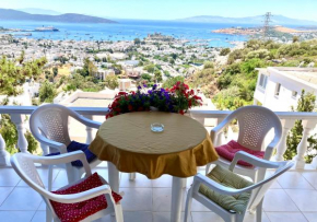 BODRUM BURCU VILLA 160m2, Magnificent Sea View, Cozy, Free Otopark, Free Wifi, Bodrum